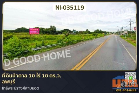 ที่ดินป่าตาล 10 ไร่ 10 ตร.ว. ลพบุรี ใกล้พระปรางค์สามยอด NI-035119