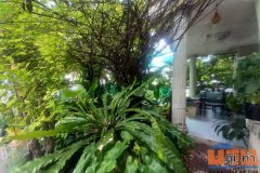 ขายบ้านเดี่ยว หมู่บ้านวราภิรมย์ วัชรพล ถนนสุขาภิบาล 5 เนื้อที่ 52.8 ตร.ว. 2 ชั้น 3 นอน 3 น้ำ