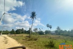 ขายด่วนที่ดินห้วยใหญ่ - ทุ่งละหาร ชลบุรี