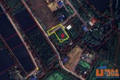 ขายที่ดิน ตำบลสามพราน อำเภอสามพราน นครปฐม ซอยบ้านหงษ์ 1 เนื้อที่ 335.5 ตร.ว.