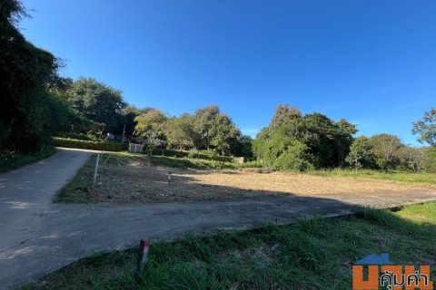 ขาย / ให้เช่าที่ดินเปล่า ทำเลทอง หลัง มช. (ใกล้ มหาวิทยาลัยเชียงใหม่)