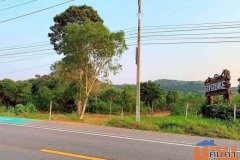 ขายที่ดินห้วยใหญ่ พัทยา เหมาะสำหรับลงทุน