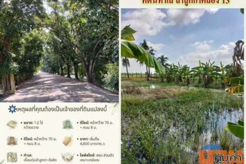 ขายที่ดิน ติดถนนลำลูกกาคลอง13