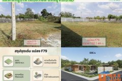 ขายที่ดินในหมู่บ้านเนเบอร์โฮม สุขาภิบาล5 ซอย82