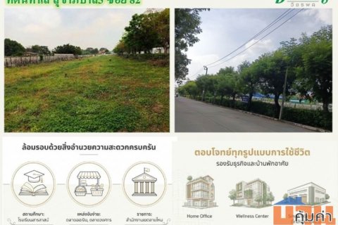 ขายที่ดิน ในซอยสุขาภิบาล5 ซอย82