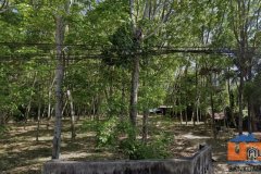 ขายที่ดินตำบลน้ำน้อย อำเภอหาดใหญ่ 1 ไร่ 2 งาน