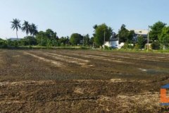 ขายที่ดิน สีม่วง สาย 5