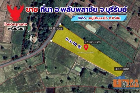 ขายด่วน ที่ดินที่นา 8 ไร่ 3 งาน 70 ตรว. ติดถนนลาดยาง โฉนดครุฑเเดงพร้อมโอน