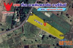 ขายด่วน ที่ดินที่นา 8 ไร่ 3 งาน 70 ตรว. ติดถนนลาดยาง โฉนดครุฑเเดงพร้อมโอน