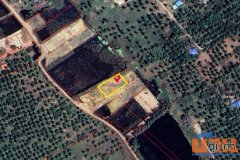 ขายและให้เช่าที่ดิน สามร้อยยอด ประจวบคีรีขันธ์ เนื้อที่ 350 ตร.ว.