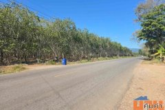 ขายสวนยางผืนใหญ่ ทำเลดี ในตำบลทุ่งควายกิน อ.แกลง จ.ระยอง