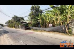 ให้เช่าที่ดิน ขนาด 3 ไร่ ซอยไทรม้า 14  รัตนาธิเบศร์  เป็นสวน เหมาะทำ ร้านอาหารคาเฟ่ หรือ พักอาศัย