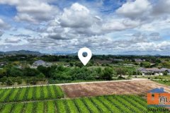 ขายที่ดินติดถนน 2 ด้าน หลังวัดวังขนาย  อำท่าม่วง กาญจนบุรี ห่างถนนใหญ่เพียง 400 เมตร