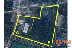 ขายโรงงาน และ สวนป่าเบญพรรณ อายุ 25 ปี อ.เขาชะเมา จ.ระยอง ราคาพิเศษ โทร 095-2601140