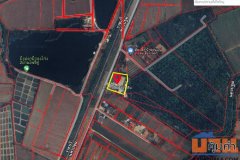 ขายที่ดิน พร้อมสิ่งปลูกสร้าง ตำบลบ้านยาง อำเภอเมือง นครปฐม เนื้อที่ 3-3-66 ไร่