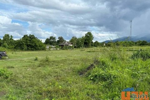 พลาดไม่ได้! ขายที่ดิน 2-0-11 ไร่ ใกล้ตลาดสดริมเหนือและกาดฝรั่ง อ.แม่ริม เชียงใหม่