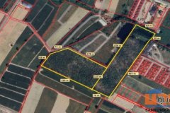 ขายที่ดินเปล่า สีม่วงลาย 32 ไร่กว่า ต.มะขามคู่ อ.นิคมพัฒนา ระยอง