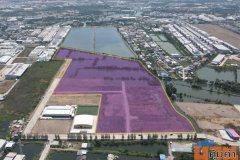 ที่ดินสร้างโรงงาน พื้นที่สีม่วง บนถนนประชาอุทิศ-คู่สร้าง เขตพระสมุทรเจดีย์ จ.สมุทรปราการ