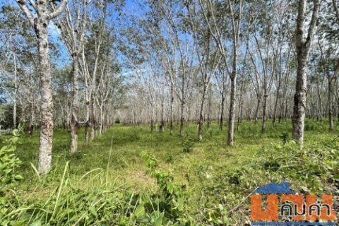 ขายที่ดินเปล่า 28 ไร่ 3 งาน 73 ตารางวา ต.เทพกระษัตรี อ.ถลาง จ.ภูเก็ต