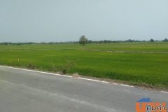 ขายด่วน ที่ดินเปล่า 131-3-40 ไร่ ต.บางอ้อ อ.บ้านนา นครนายก