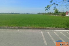 ขายด่วน ที่ดินเปล่า 96-2-62 ไร่ ติดโรงเรียนวัดใหม่เจริญราษฏร์ หนองจอก มีนบุรี