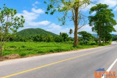 ขายที่ดิน 6 ไร่ 2 งาน 77 ตร.ว. ติดถนนใหญ่ แปลงมุม วิวภูเขา ติดคลองธรรมชาติ ทำเลดี
