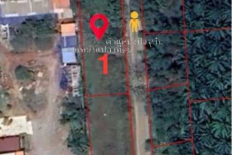 ขายที่ดินเปล่ามีโฉนด ติดถนนทำเลดี ท่าทองใหม่ สุราษฎร์ธานี