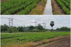 ที่ดินเปล่า 5 ไร่ 246 ตร.วา เหมาะทำสวนเกษตร ที่สวย ใกล้กรุงเทพฯ