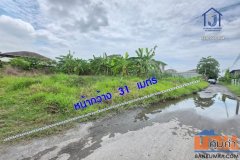 ขายที่ดินถมแล้ว 200 ตร.ว. ซอยสายไหม 75 ทะลุพหลโยธิน 54/1 แยก 10  ใกล้ BTS คูคต