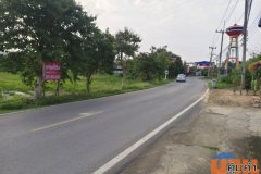 ขายที่ดิน 27 ไร่ 12 ตร.ว. ติดถนน บ้านช้าง โรจนะ 2 อุทัย อยุธยา พื้นที่สีเขียว ทำเลศักยภาพใกล้นิคมอุตสาหกรรมโรจนะ