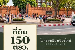 ที่ดิน 150 ตรว. ทำเลนักท่องเที่ยว ใกล้ประตูท่าแพ อำเภอเมืองเชียงใหม่