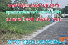 ขาย ที่ดิน แปลงสวยหมู่บ้านมหาดไทย1 83 ตร.วา บางระมาด ตลิ่งชัน กทม....