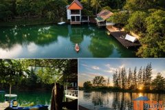 ขายที่ดินหายาก! 21 ไร่เศษ พร้อมสวนผลไม้ แหล่งน้ำธรรมชาติ และบ้าน 10 หลัง