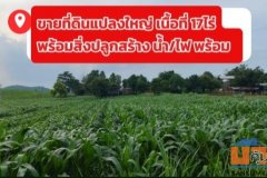 ขายที่ดินแปลงใหญ่ ห่างจากถนนมิตรภาพ 17กม. พร้อมสิ่งปลูกสร้าง น้ำ/ไฟ ครบ พร้อมใช้งาน