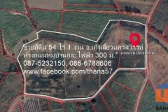 ขายที่ดิน 54 ไร่ 1 งาน และ 122 ไร่ หรือ จะแบ่ง 59 ไร่ ก็ได้ อ.เก้าเลี้ยว นครสวรรค์