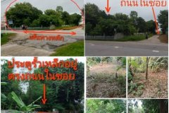 ขายด่วน ที่ดิน3งาน ต.ริมกกห่างเมืองเชียงราย12 กม. 2.6 ล้าน(โฉนดครุตแดง)