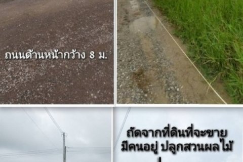ขายที่ดิน2ไร่ ต.ริมกก ห่างเมืองเชียงราย12กม.3ล้าน(ครุตแดง)