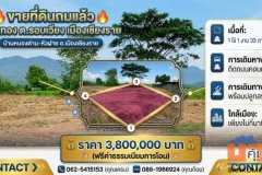 ที่ดินเปล่าถมแล้ว 1 ไร่ 1 งาน 33 ตร.ว. บ้านหนองด่าน-หัวฝาย ต.รอบเวียง อ.เมืองเชียงราย