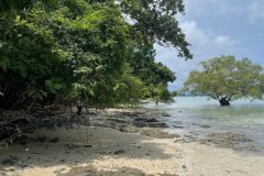 Vacant land for sale 35 Rai - prime location beachfront  Lon island, Phuket