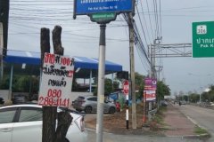ขายที่ดิน 2 ไร่ ผังสีแดง ซอยเลี่ยงเมือง ปากเกร็ด 18 นนทบุรี