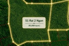 ขายที่ดินบนเขา 51 ไร่ ต.บางม่วง อ.ตะกั่วป่า จ.พังงา วิวทะเล ใกล้หาดบางสัก
