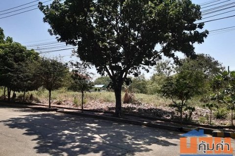 ขายที่ดินเปล่า 84 ตรว. หมู่บ้านชัยพฤกษ์ บางบัวทอง นนทบุรี
