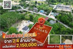 ขายที่ดินสวย ทำเลดี บรรยากาศร่มรื่น เหมาะสำหรับสร้างบ้านพักอาศัย ทำสวน หรือซื้อเก็บไว้เก็งกำไรในอนาคต