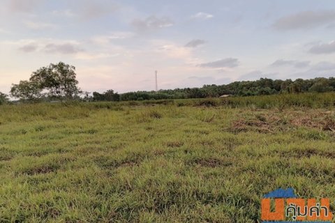 ขายที่ดิน 28 ไร่ ตั้งอยู่ที่ ต.เขารูปช้าง อ.เมือง จ.สงขลา