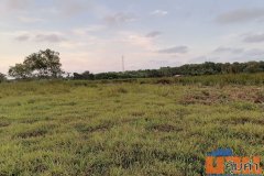 ขายที่ดิน 28 ไร่ ตั้งอยู่ที่ ต.เขารูปช้าง อ.เมือง จ.สงขลา