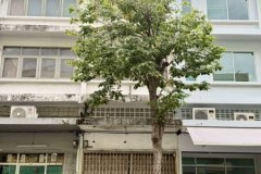 ขายที่ดินเปล่า ทำเลดี ติดถนนคอนกรีต ใกล้เมืองชุมแพ จ.ขอนแก่น