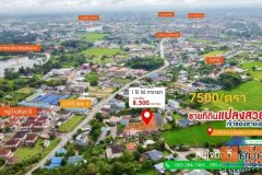 ขายที่ดินเปล่า 1ไร่50 ตรว ทำเลดี จังหวัดเชียงราย