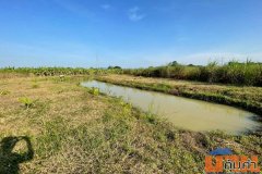 ขายที่ดิน 4 ไร่ ชะอำ เพชรบุรี ไร่ใหม่พัฒนา