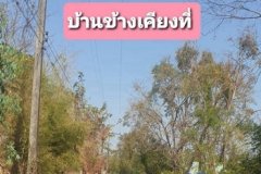 ขายที่ดิน 15-2-26ไร่ สกลนคร พังโคน