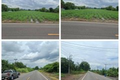 ขายที่ดิน พัฒนานิคม- จังหวัดลพบุรี  ฝั่งขาเข้า กทม.